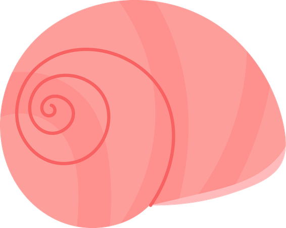 Schnecke  Illustration