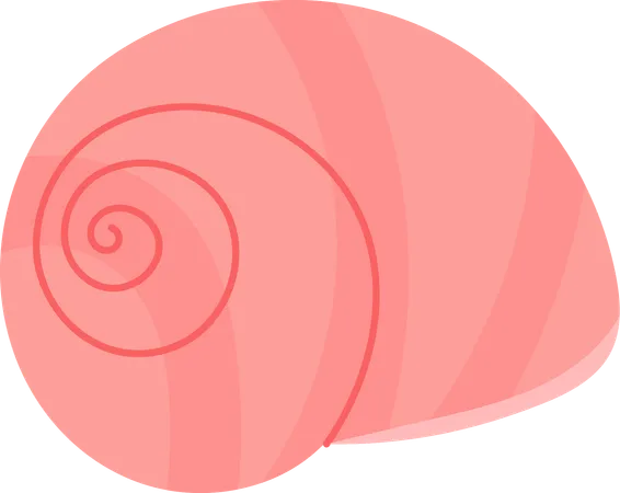 Schnecke  Illustration