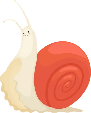 Schnecke  Illustration