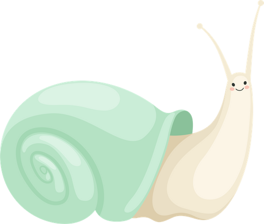 Schnecke  Illustration