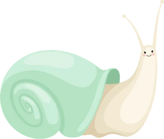 Schnecke  Illustration