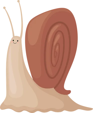 Schnecke  Illustration