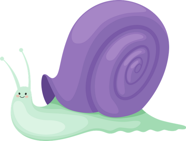 Schnecke  Illustration