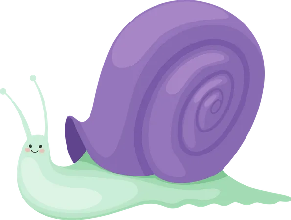 Schnecke  Illustration