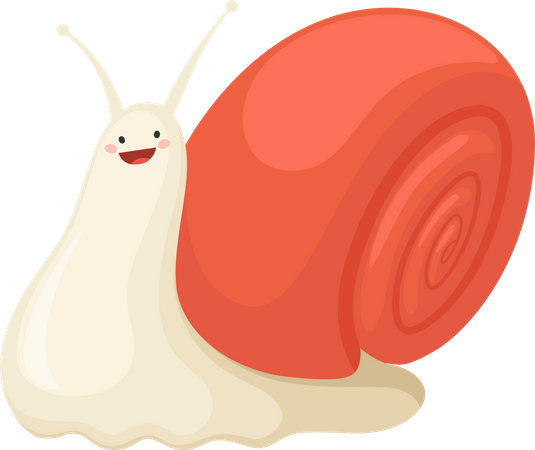 Schnecke  Illustration