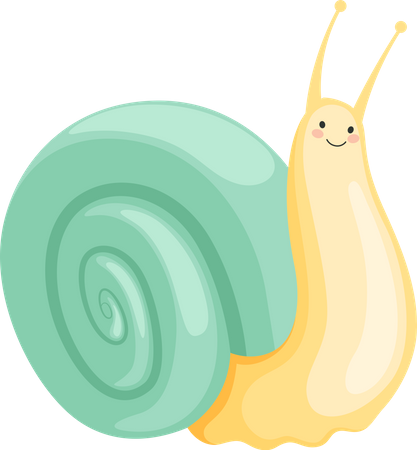 Schnecke  Illustration