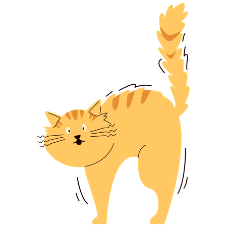 Schockierte Katze  Illustration