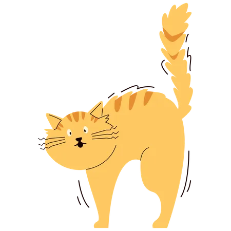 Schockierte Katze  Illustration