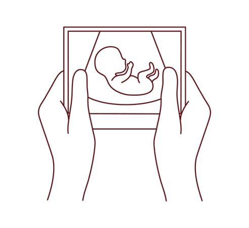 Bild einer schwangeren Gebärmutter  Illustration