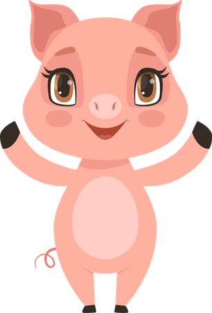 Schwein  Illustration