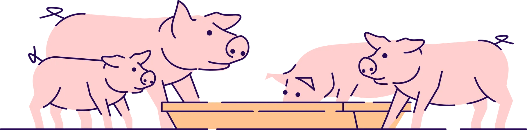 Schweinefütterung  Illustration