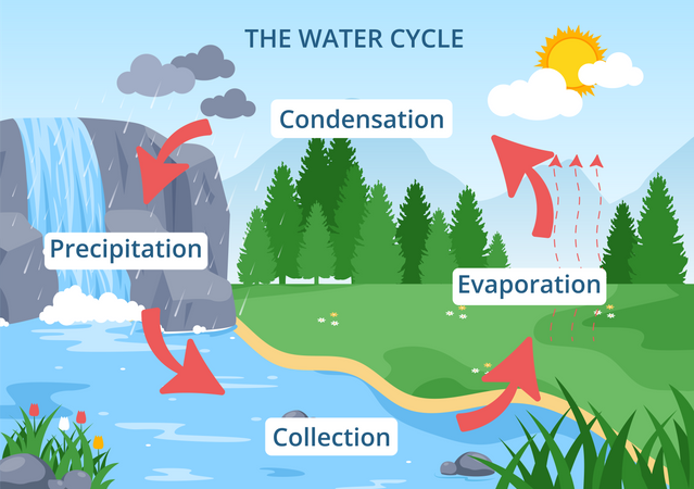 Scientific cycle of water Illustration