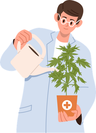 Scientifique en arrosage uniforme d'une plante de cannabis  Illustration