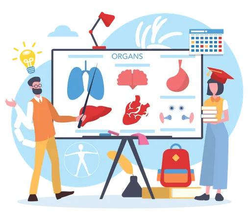 Scientifique étudiant les organes du corps humain  Illustration