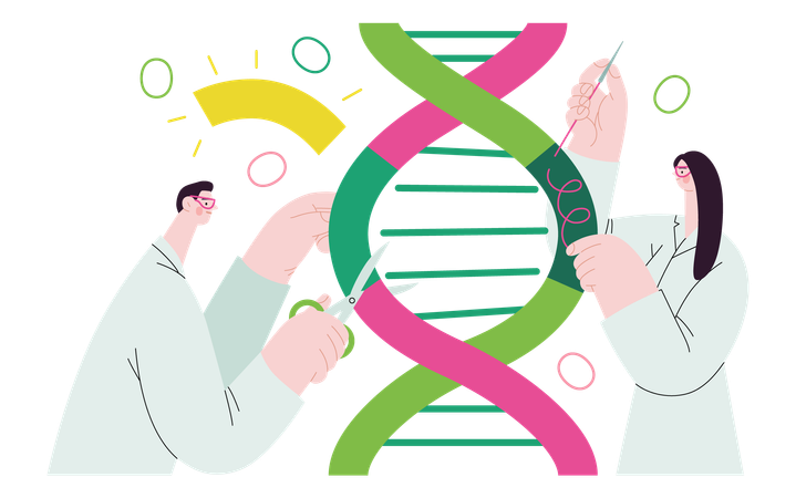 Des scientifiques disséquent la double hélice de l’ADN  Illustration