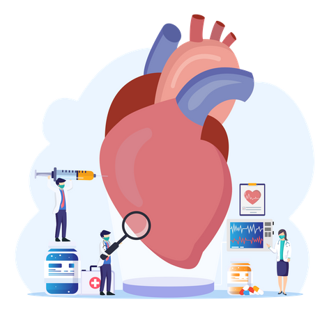 Scientist Doing Human Heart Anatomy  Illustration