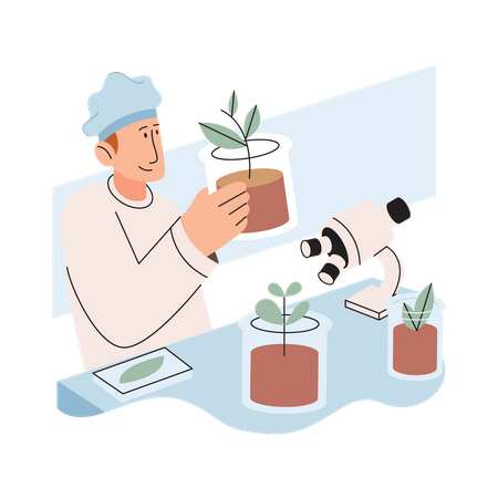 Scientist examining plant species using laboratory microscope  Illustration