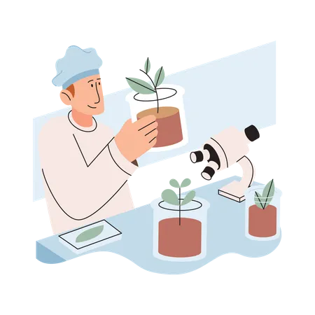 Scientist examining plant species using laboratory microscope  Illustration