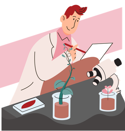 Scientist examining plant species using laboratory microscope  Illustration
