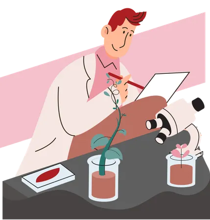 Scientist examining plant species using laboratory microscope  Illustration