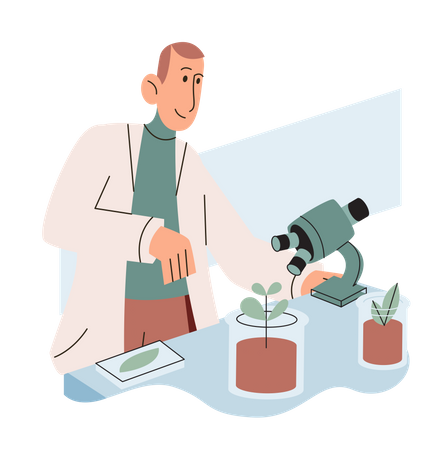 Scientist Examining Plant Species Using Laboratory Microscope  Illustration