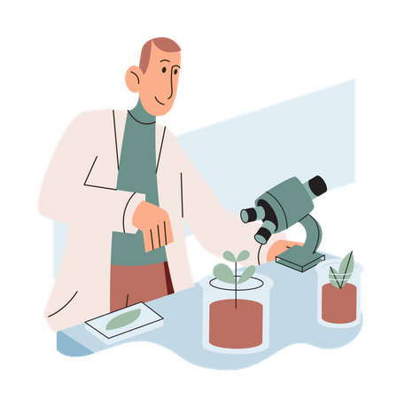 Scientist Examining Plant Species Using Laboratory Microscope  Illustration
