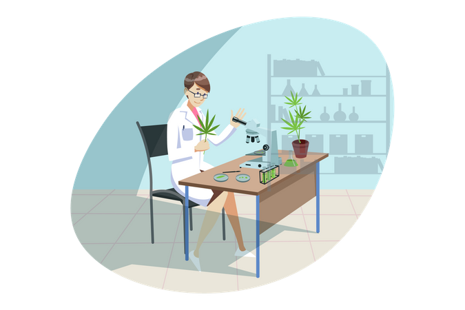 Scientist experiment on Plant  Illustration