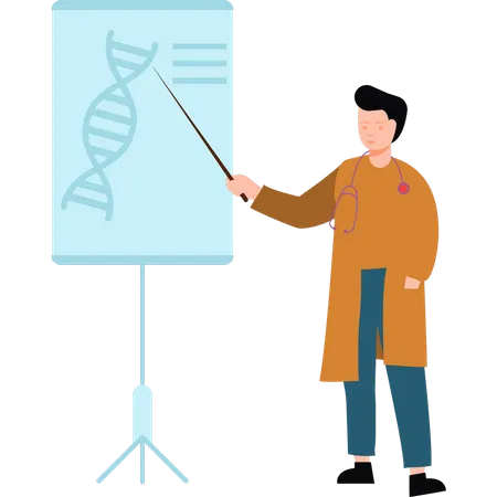 Scientist explaining structure of DNA  Illustration
