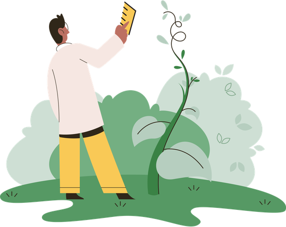 Scientist explores vegetable life and plants in nature  Illustration