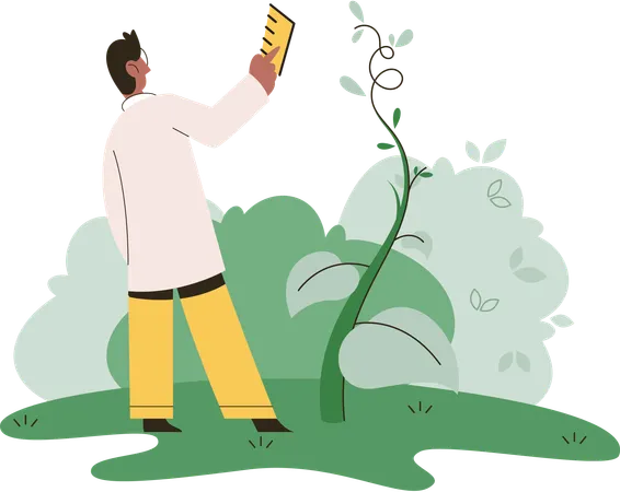 Scientist explores vegetable life and plants in nature  Illustration