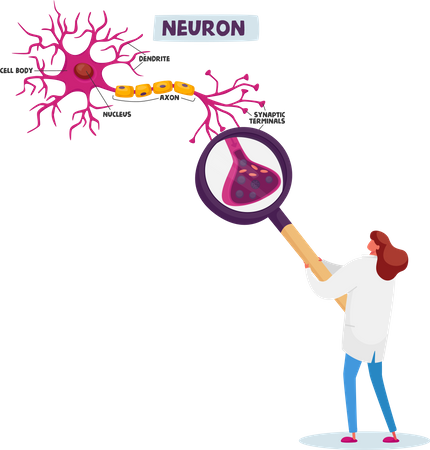 Scientist Female Learning Human Neurons Scheme in Scientific Laboratory Illustration