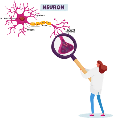 Scientist Female Learning Human Neurons Scheme in Scientific Laboratory  Illustration