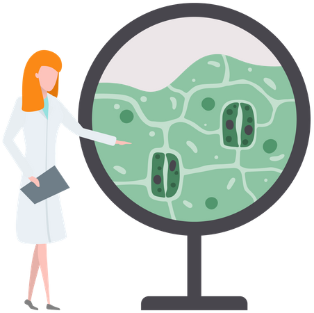 Scientist Studies Plant Cell  Illustration