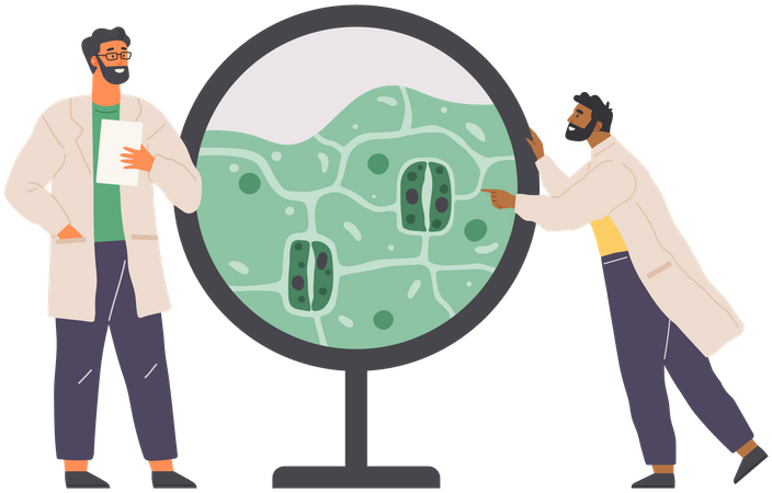 Scientist Studies Plant Cell  Illustration