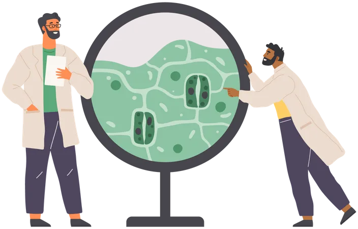 Scientist Studies Plant Cell  Illustration