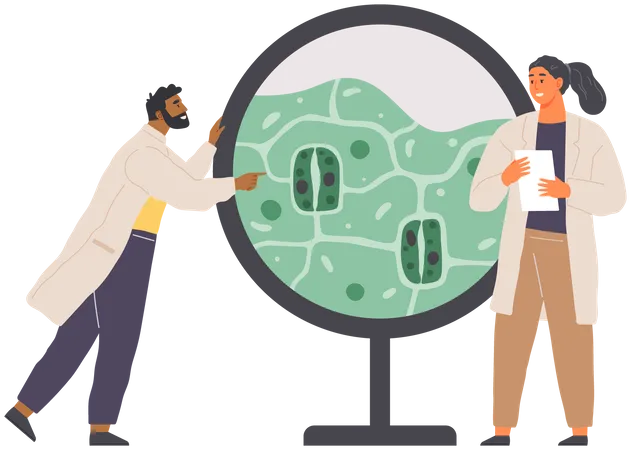 Scientist Studies Plant Cell  Illustration