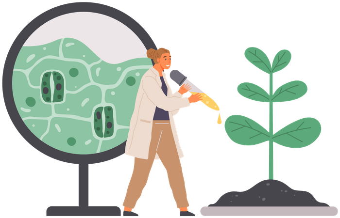 Scientist Studies Plant Cell  Illustration