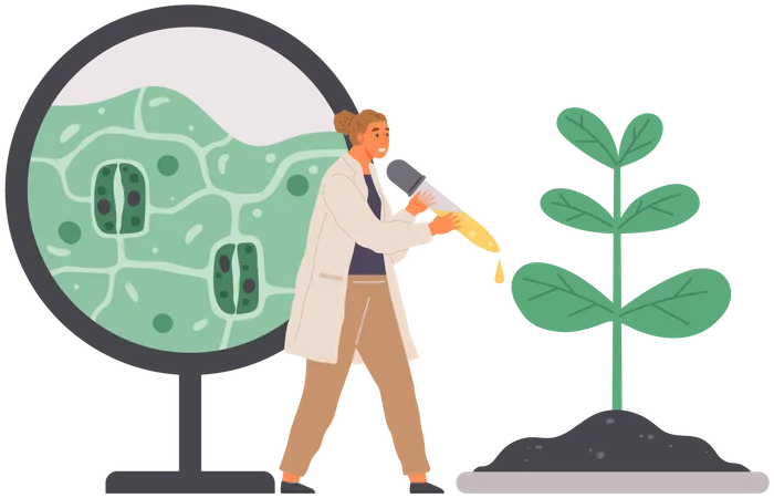 Scientist Studies Plant Cell  Illustration