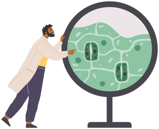 Scientist Studies Plant Cell  Illustration