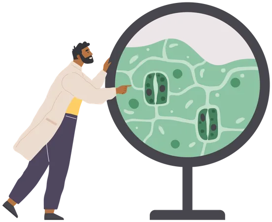 Scientist Studies Plant Cell  Illustration