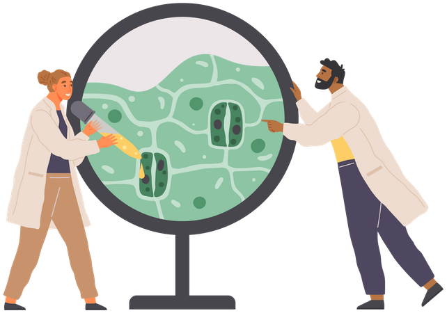 Scientist Studies Plant Cell  Illustration