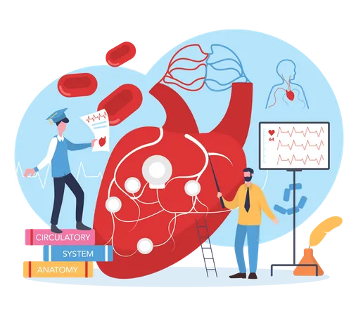 Scientist study human heart  Illustration