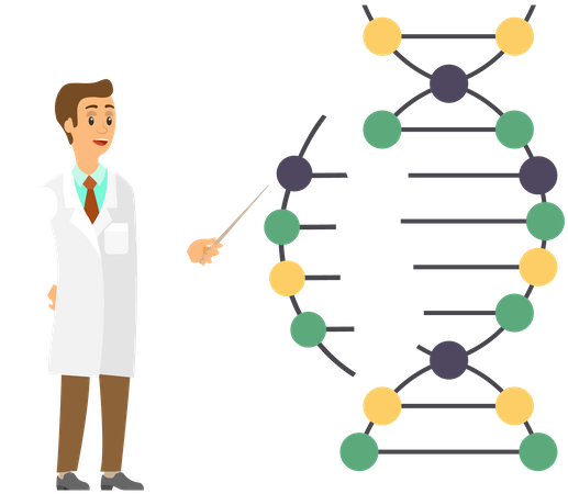 Scientist Studying Dna Molecule  Illustration