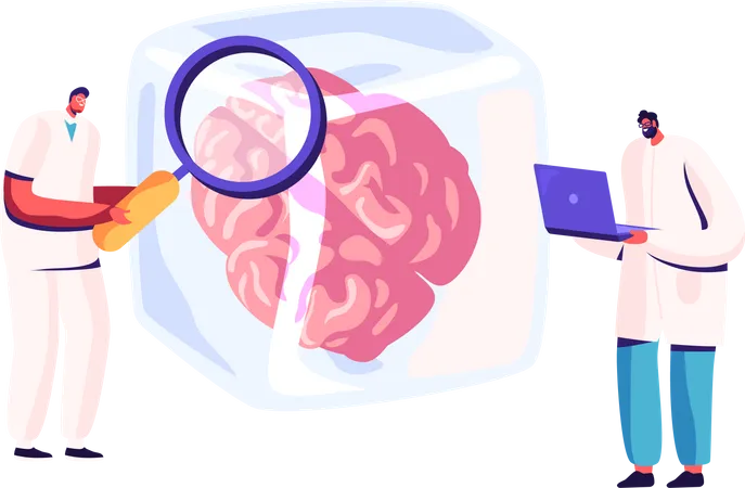Scientist studying human brain Illustration