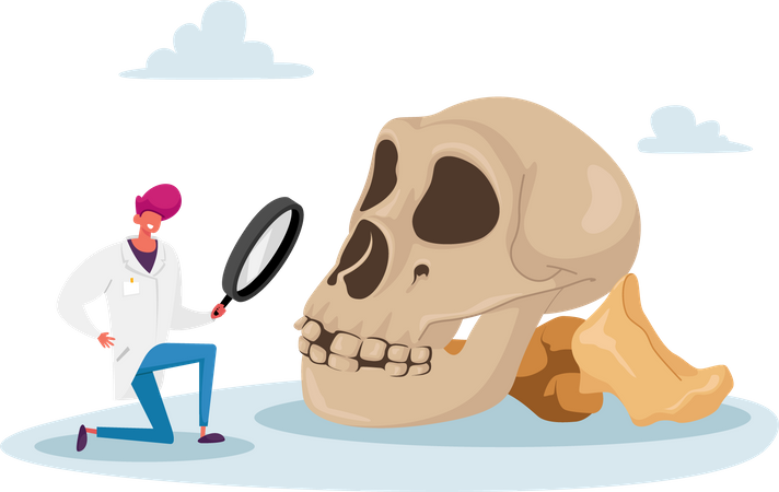 Scientist Watching through Magnifying Glass on Human Skull Illustration