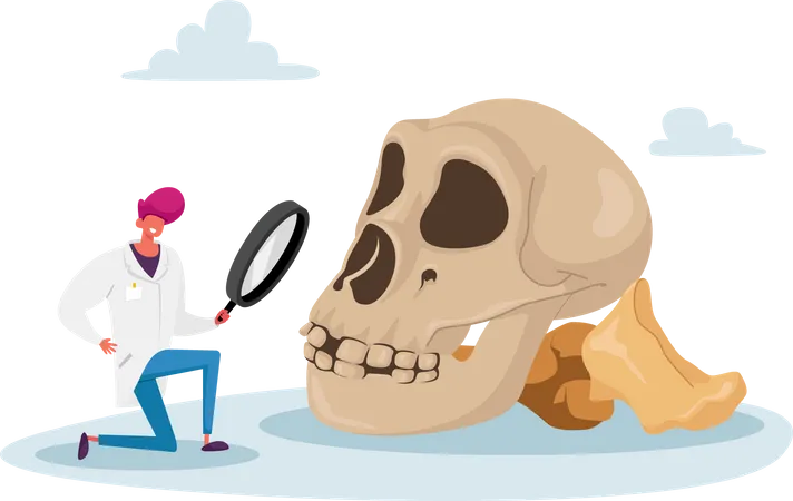 Scientist Watching through Magnifying Glass on Human Skull  Illustration