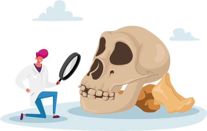 Scientist Watching through Magnifying Glass on Human Skull  Illustration