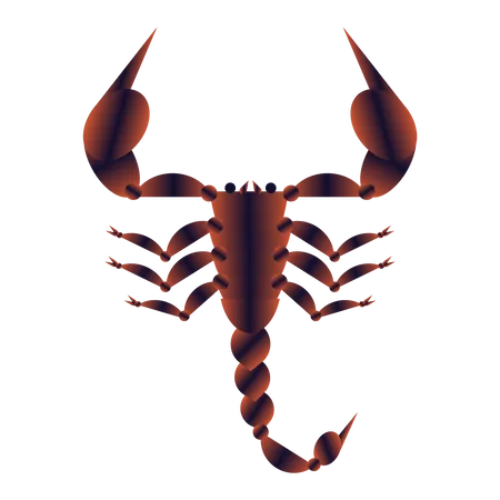 Scorpion  Illustration