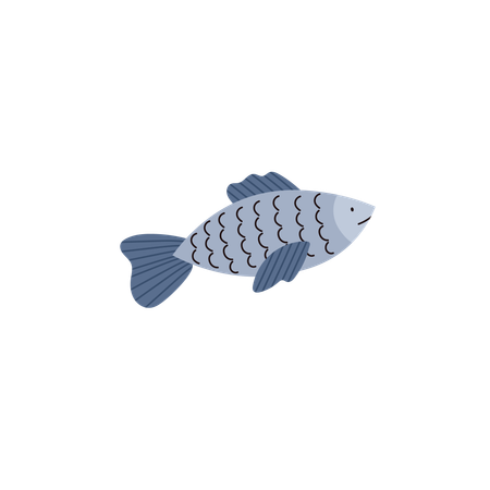 Sea fish  Illustration