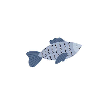 Sea fish  Illustration